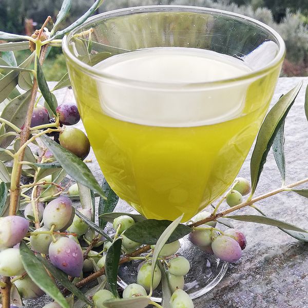 Frisches Olivenöl Frisches Olivenöl