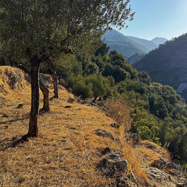 Landschaft um Isna Landschaft um Isna