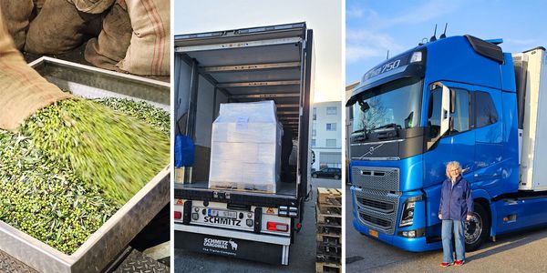 Auslieferung des Olivenöls im März 2026